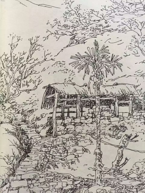 29